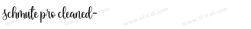 schmute pro cleaned字体转换